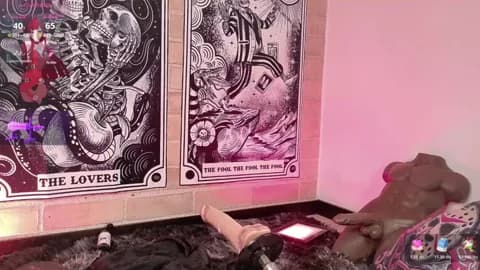 Abbeey Cam Archive - January 17, 2026 01:39 (35min)