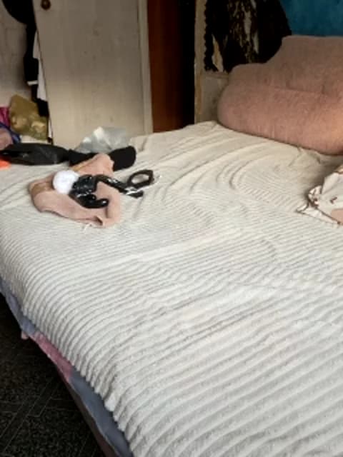 Cat-Bars69 Cam Archive - January 27, 2026 09:56 (30min)