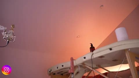 Lilevame Cam Archive - January 17, 2026 19:58 (120min)