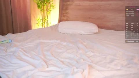 LolySun Cam Archive - January 14, 2026 23:01 (73min)