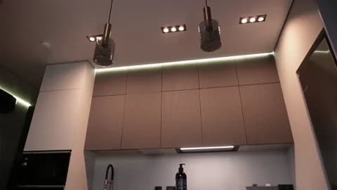 Mila-mila Cam Archive - January 28, 2026 16:10 (63min)