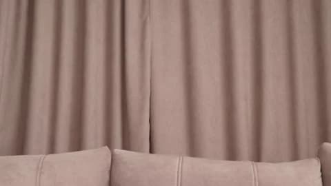 Nana_Wilson Cam Archive - January 12, 2026 11:18 (86min)