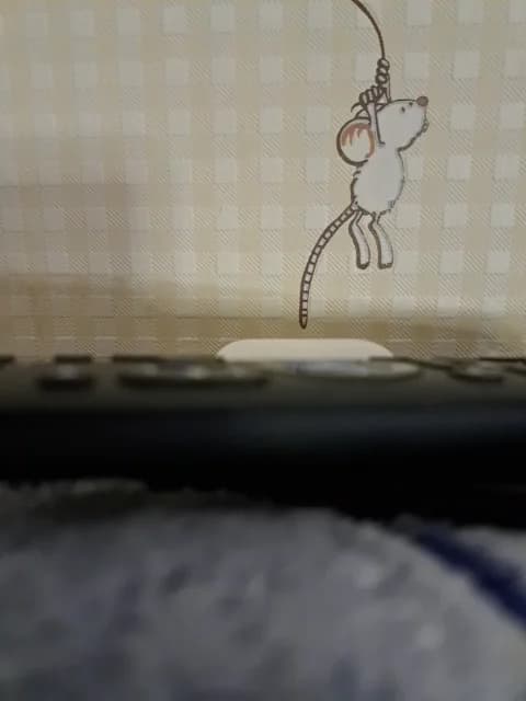 SweetPraGG Cam Archive - February 2, 2026 23:09 (36min)