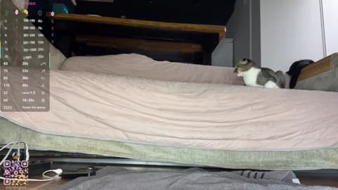 SweetSakuraJane Cam Archive - April 1, 2026 02:33 (83min)