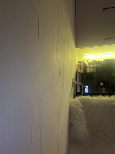 Taanni Cam Archive - March 7, 2026 17:52 (43min)