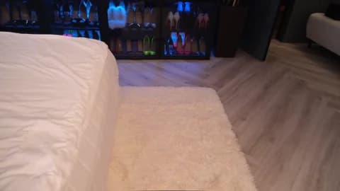 ami_katana Cam Archive - January 12, 2026 07:11 (120min)