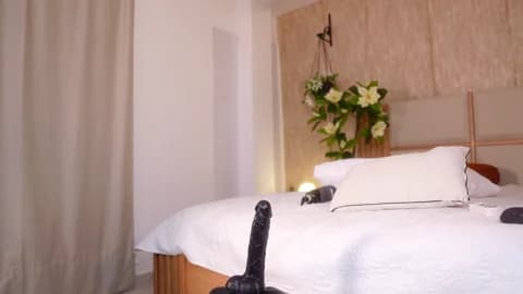 ana_maria11 Cam Archive - January 12, 2026 (120min)