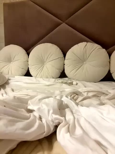 aniram2221 Cam Archive - January 11, 2026 04:40 (34min)