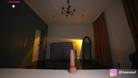 baeasian Cam Archive - April 13, 2026 05:30 (43min)