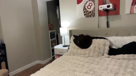 camilaaa15 Cam Archive - January 11, 2026 04:06 (50min)