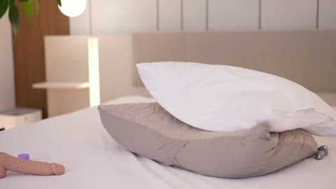 dovia Cam Archive - March 8, 2026 13:17 (42min)