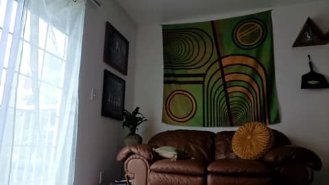 forestdarling Cam Archive - March 13, 2026 20:00 (31min)