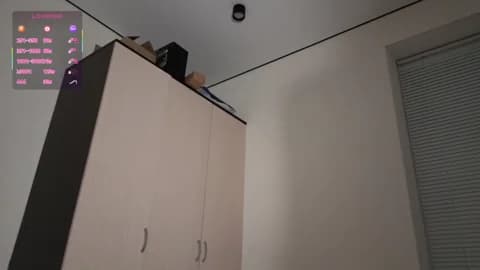 hoaarisa Cam Archive - January 17, 2026 15:33 (70min)