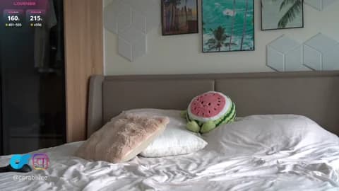 iamcora Cam Archive - March 12, 2026 05:36 (85min)