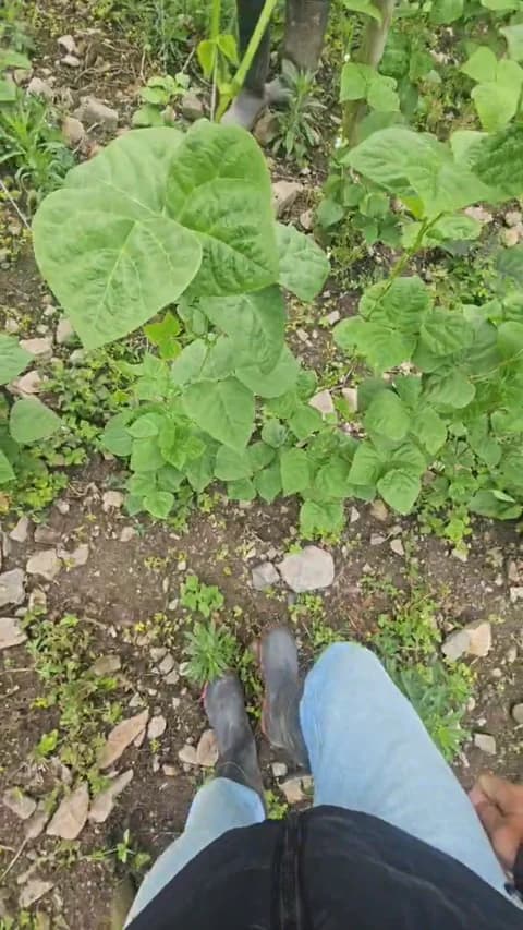 jo23_xxx Cam Archive - April 9, 2026 16:46 (41min)