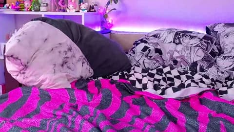 night_angell Cam Archive - February 18, 2026 13:57 (120min)