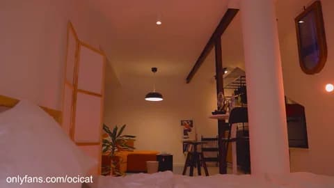 ocicat Cam Archive - February 22, 2026 01:17 (58min)