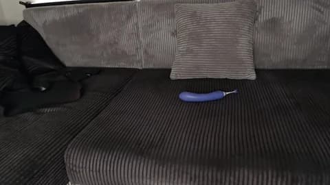 sunshineeve Cam Archive - January 12, 2026 12:05 (93min)