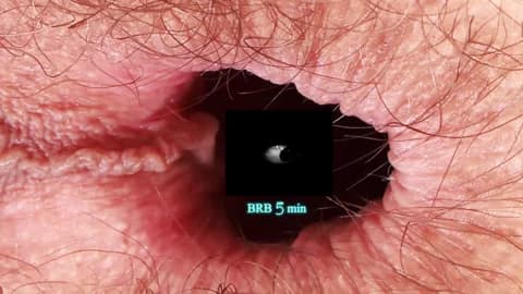 your-red-wine Cam Archive - March 26, 2026 21:39 (120min)